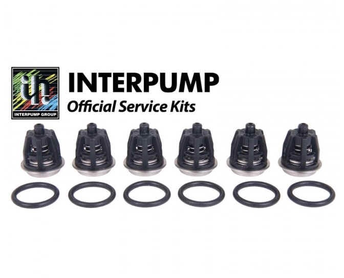 Interpump Valve Kit [222 KIT001]