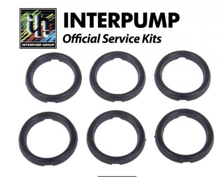 Interpump Parts Kit [222 KIT129]