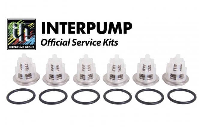 Interpump Valve Kit [222 KIT169]
