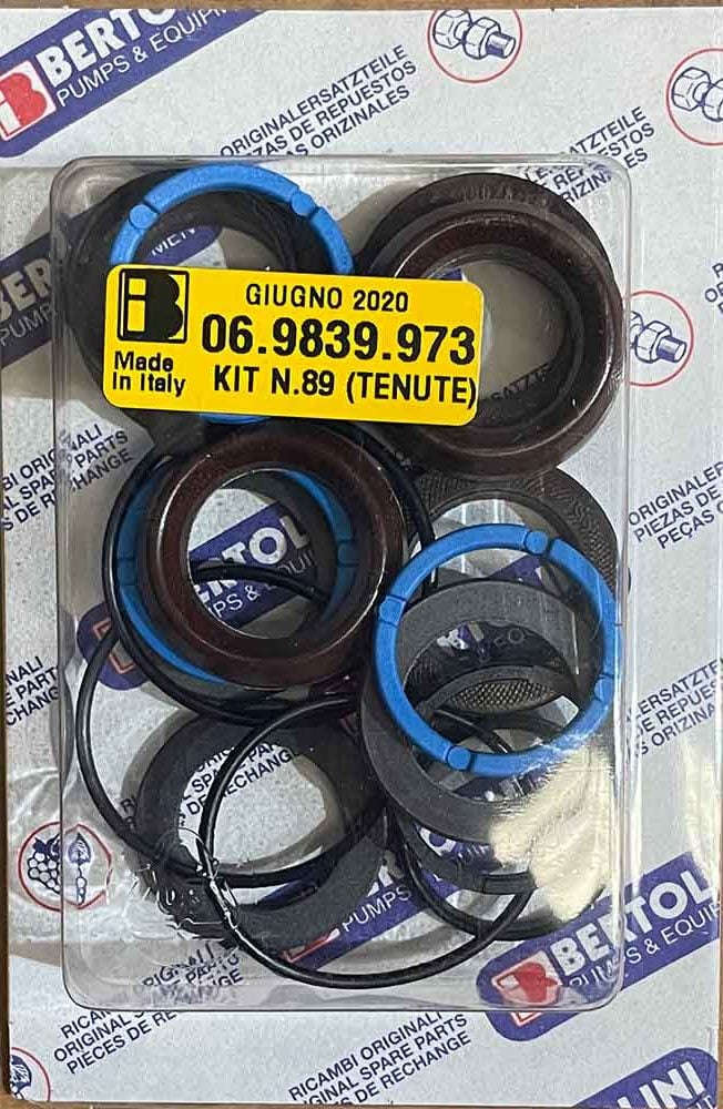 Bertolini Minor Seal Kit [228 KIT89]