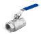 Stainless 2pc Ball Valve F/F